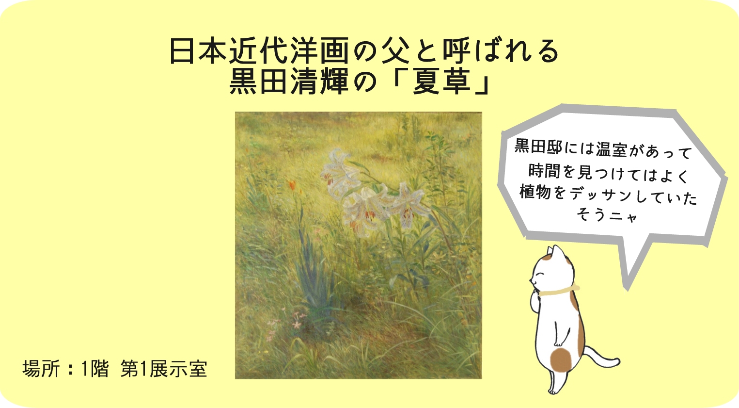 常設展を楽しもう